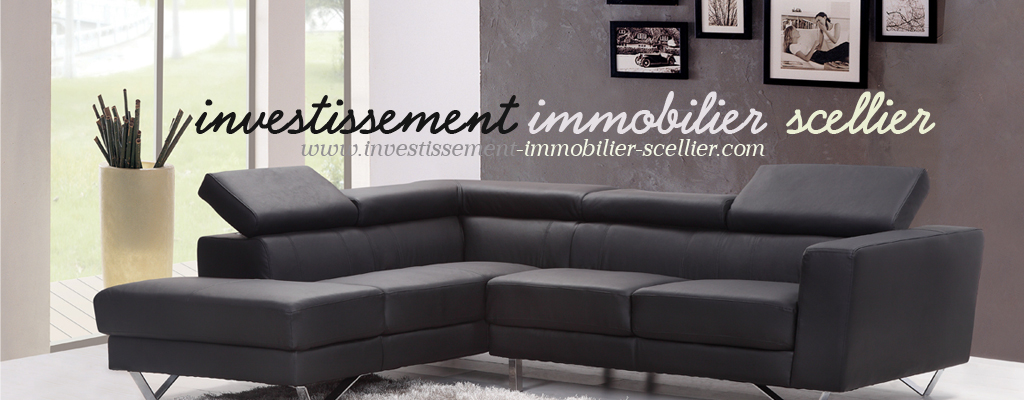 investissement-immobilier-scellier.logichouseblog.com